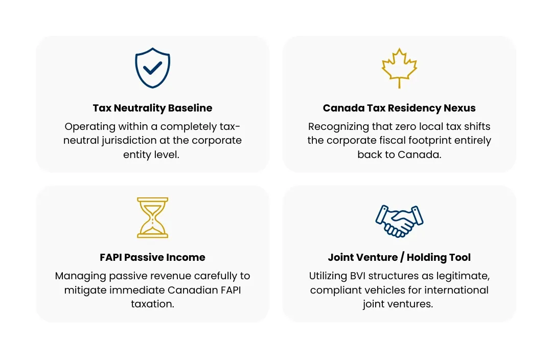 Benefits of a BVI holding company